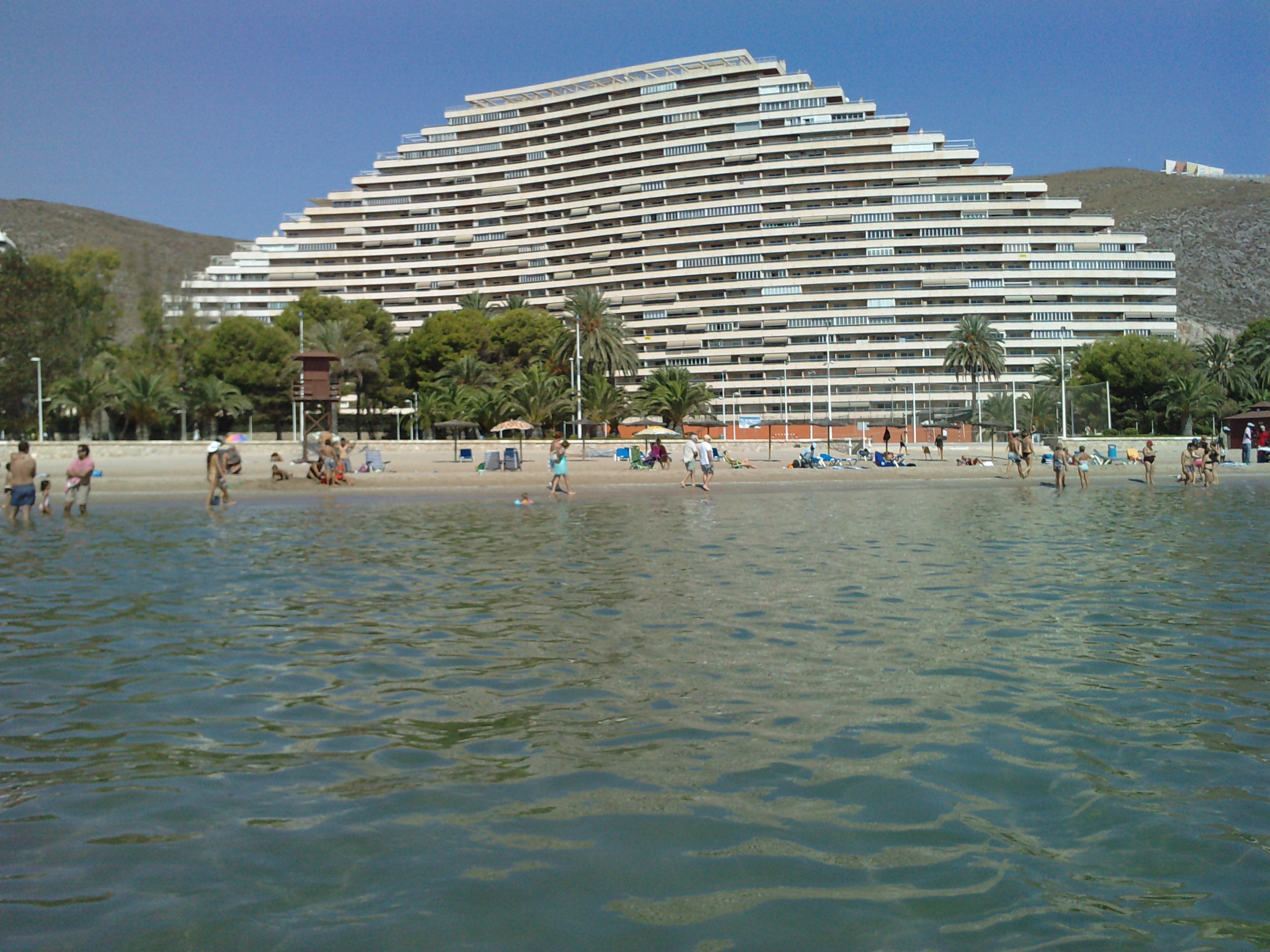 Featured Image -- 137