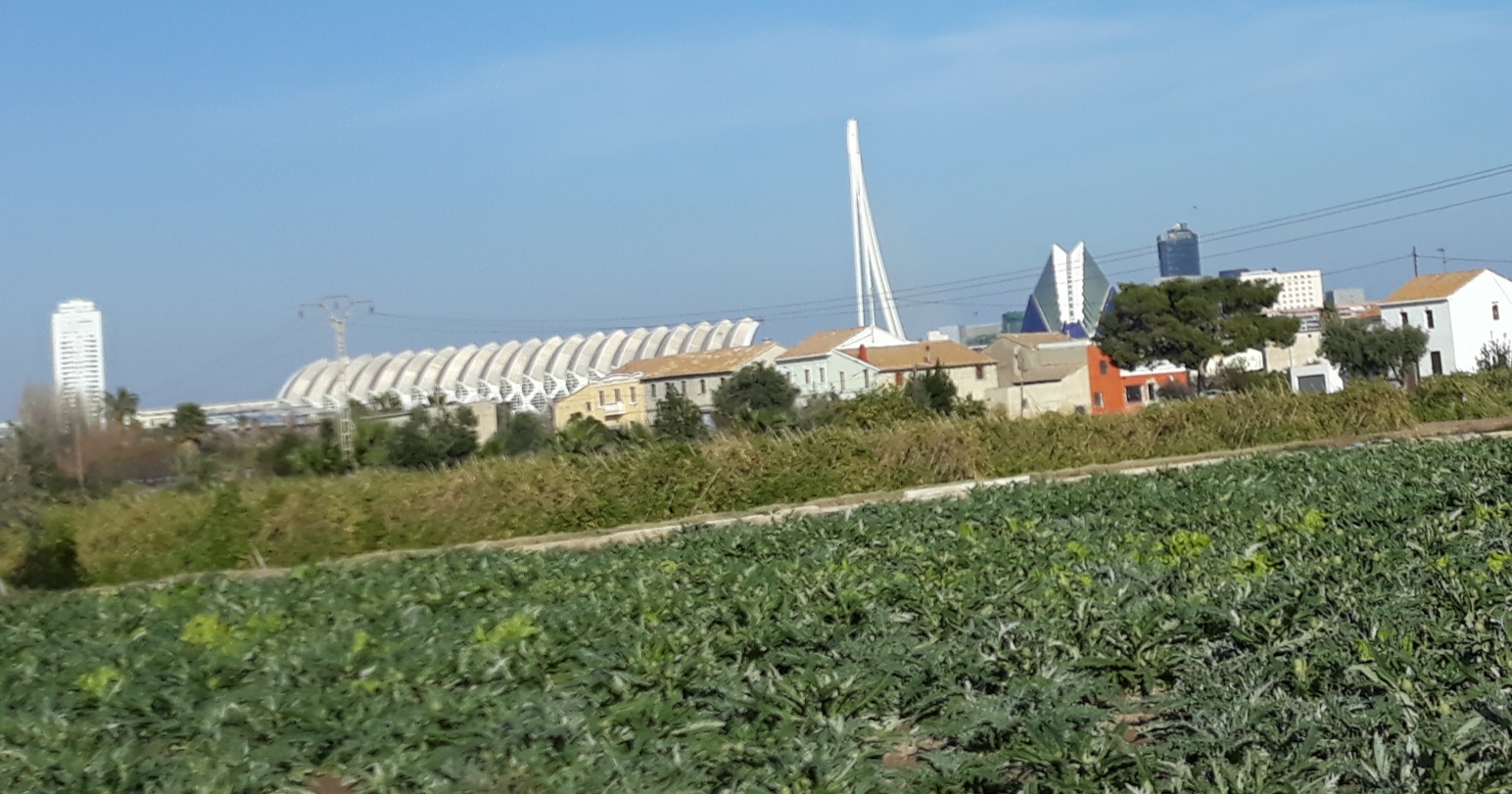 Fonteta y Quatre Carreres