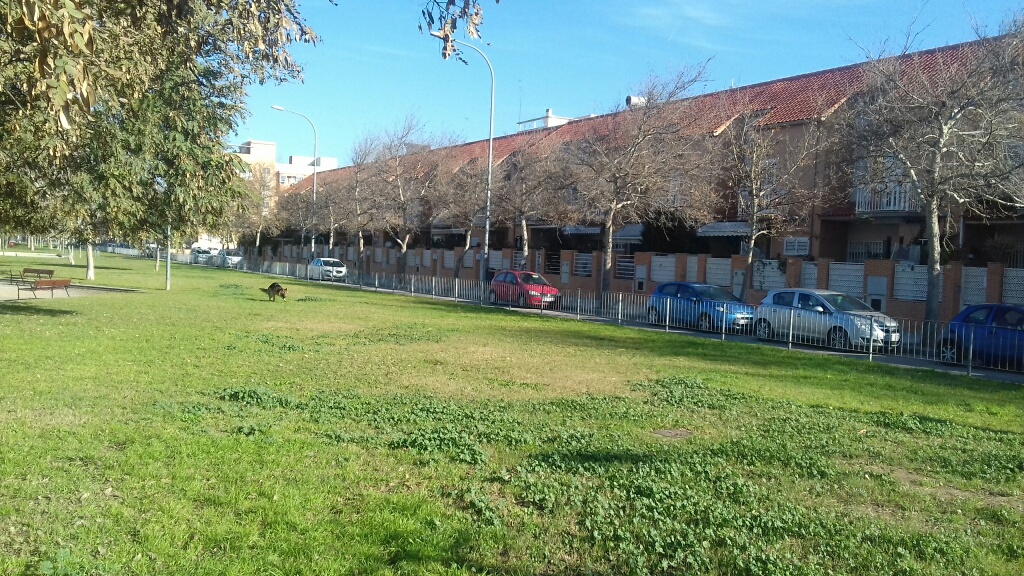 Valoracions inmobiliaries