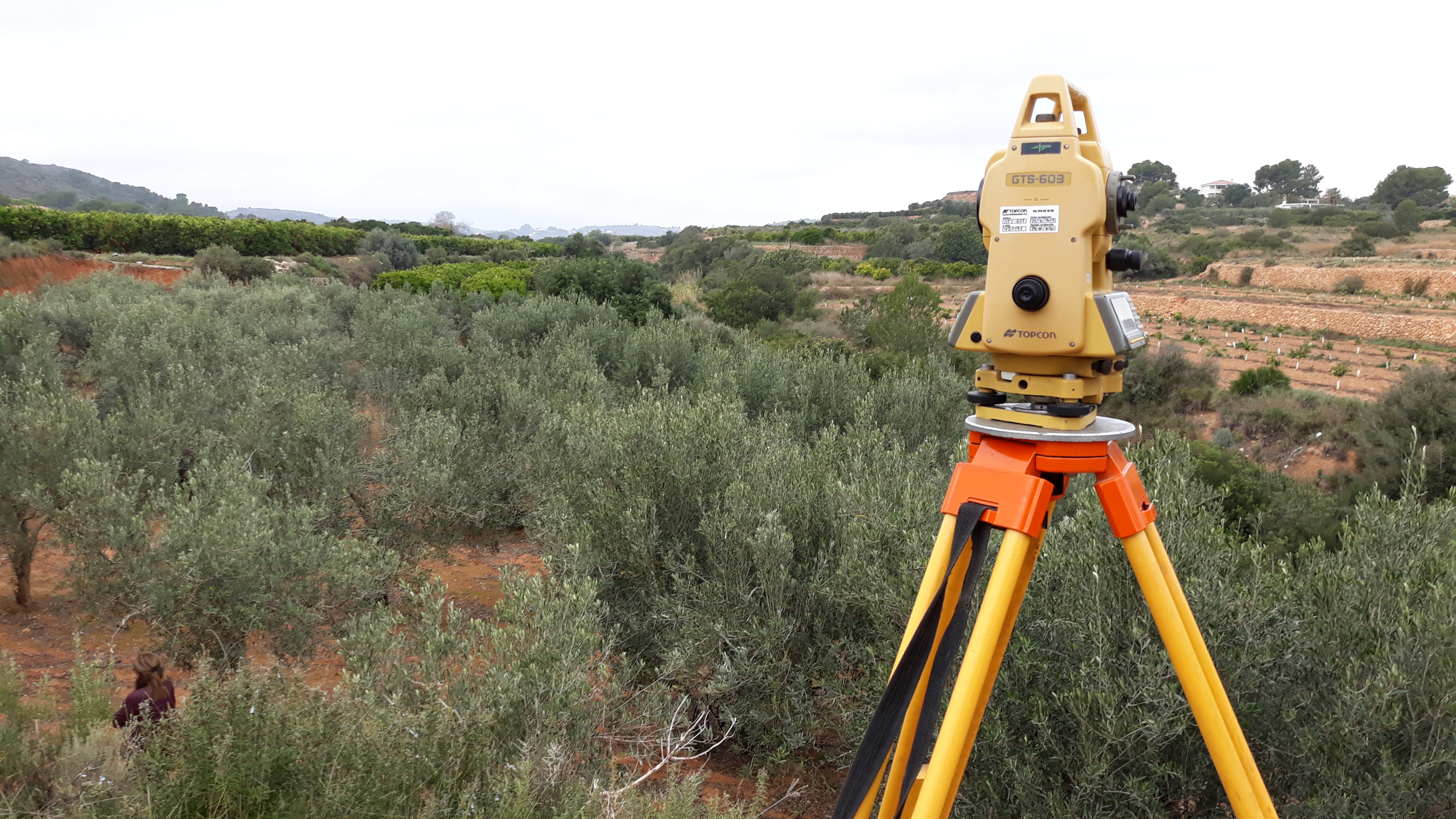 Valoración de campos