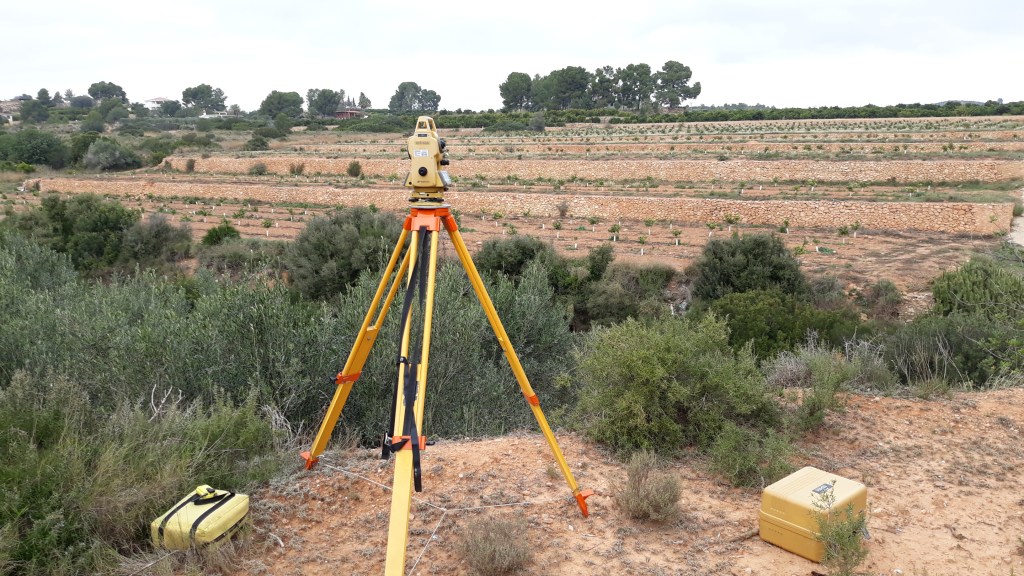 EL PRECIO DE LA HUERTA VALENCIANA.¿CUANTO VALE UN CAMPO DE&nbsp;NARANJOS?
